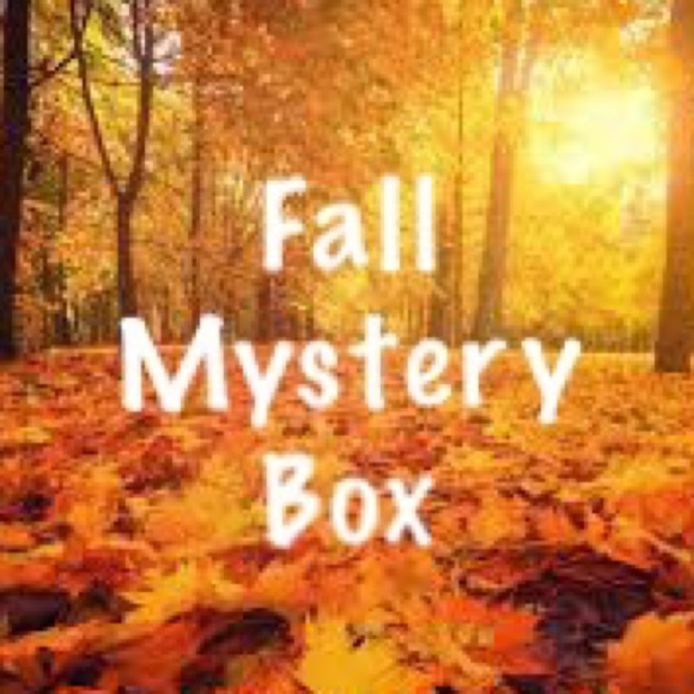 🍁Fall Mystery Box🍁